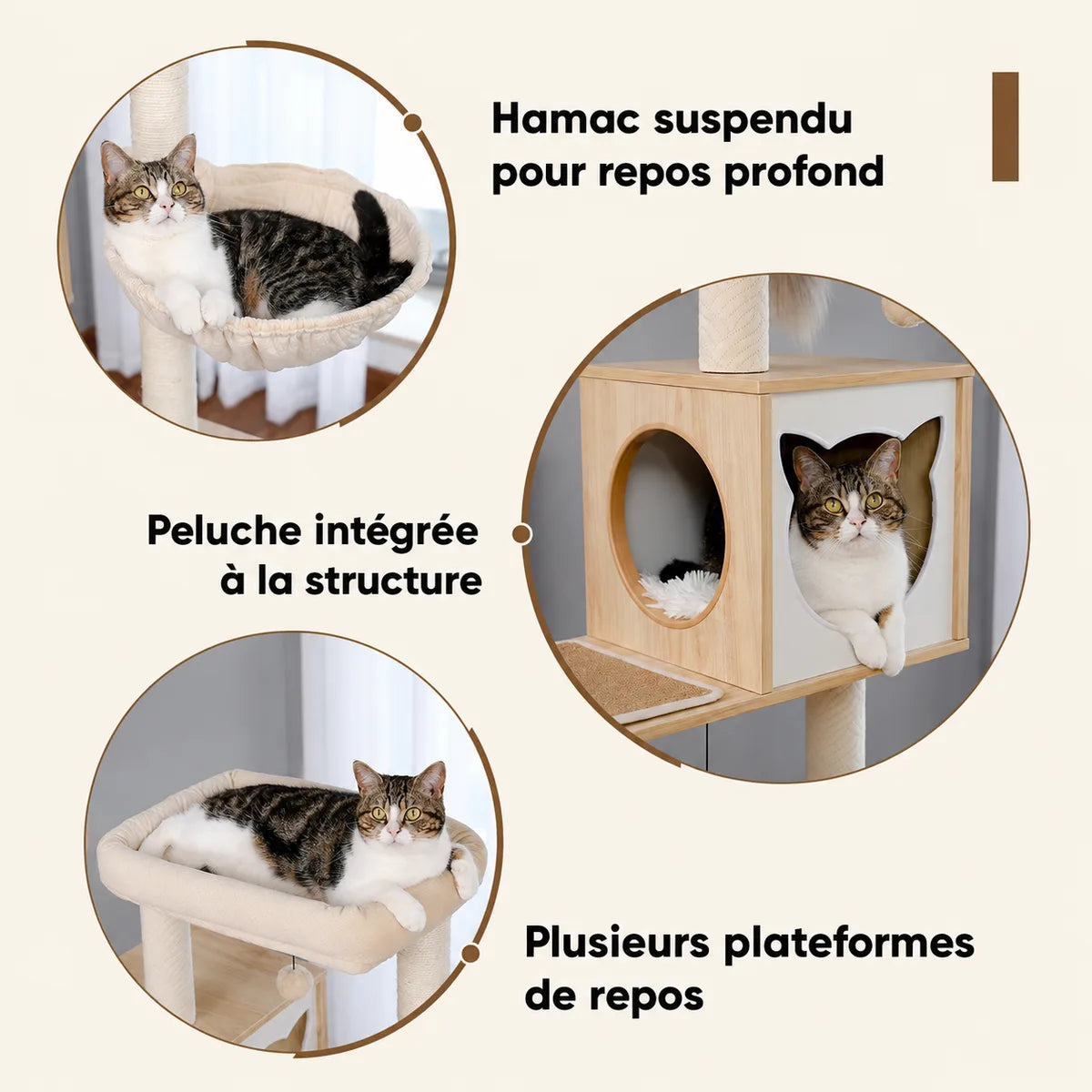 Gros plans montrant le hamac suspendu en beige, les niches fermées du placard et les plateformes de repos de l'arbre à chat.