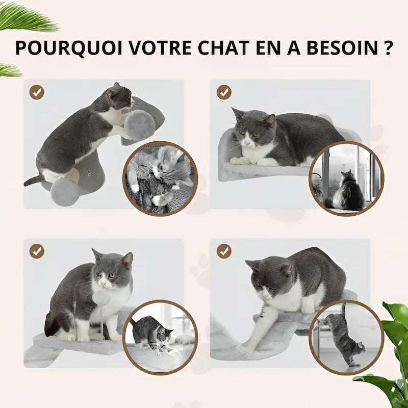 Arbre à chat mural conçu pour répondre aux besoins naturels du chat : grimper, observer, se reposer et jouer.
