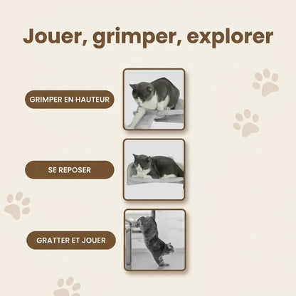 Chat noir et blanc utilisant les différentes fonctionnalités : perchoir en hauteur, plateforme de repos, griffoir mural pour grimper et jouer.