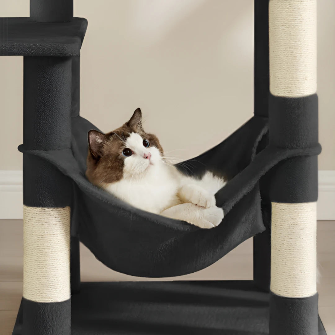 Gros plan du hamac de l'arbre à chat noir avec chat blanc allongé confortablement dedans
