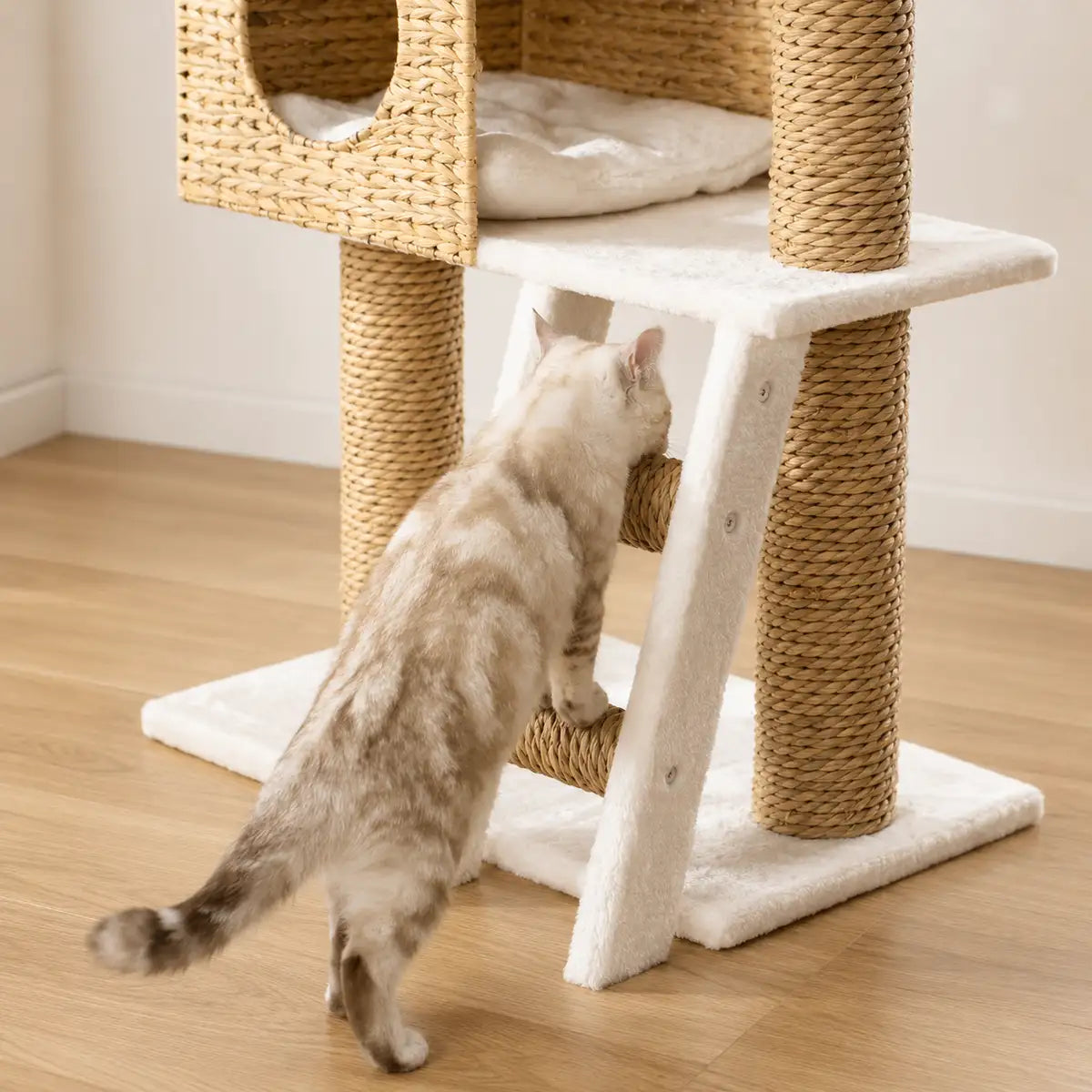 Chat gris et blanc utilisant l'échelle en sisal de l'arbre, avec niches en osier et plateformes blanches visibles en arrière-plan.
