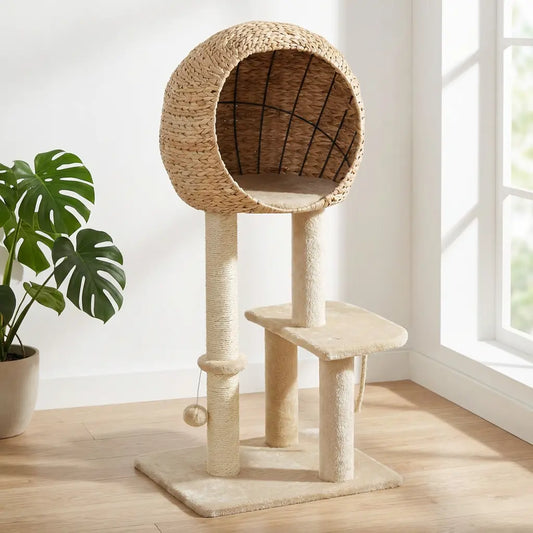 Arbre à chat osier avec niche globe sphérique tressée, poteaux sisal et plateforme intermédiaire, monstera en arrière-plan
