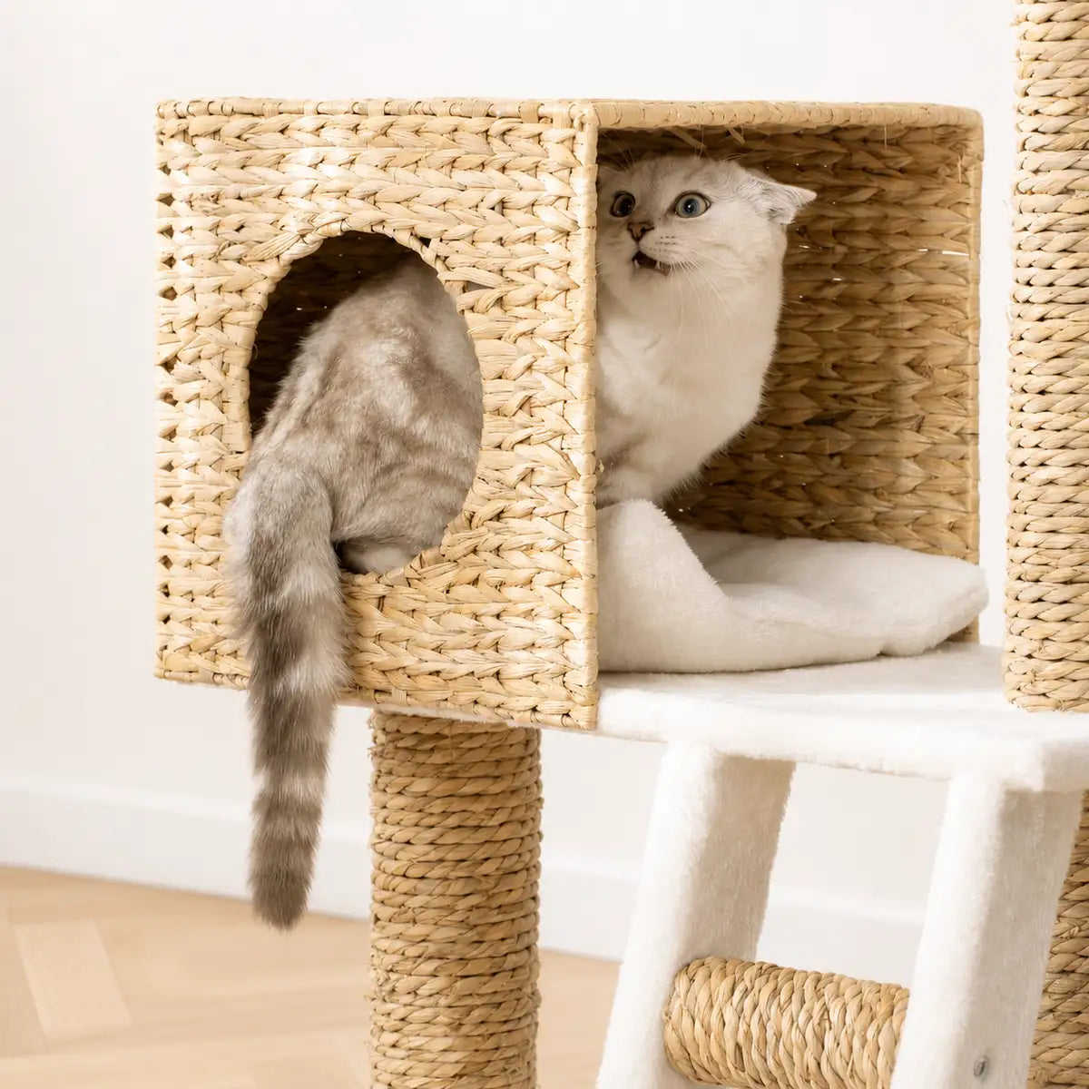 Chat blanc allongé dans une niche en osier tressé, avec griffoir en sisal et structure naturelle visible.