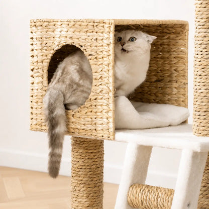 Chat blanc allongé dans une niche en osier tressé, avec griffoir en sisal et structure naturelle visible.