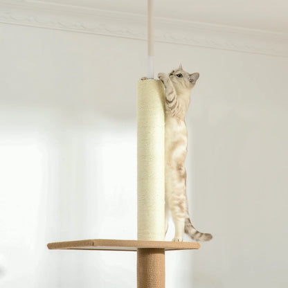 Chat debout qui griffe le poteau sisal d'un arbre à chat sol plafond design naturel