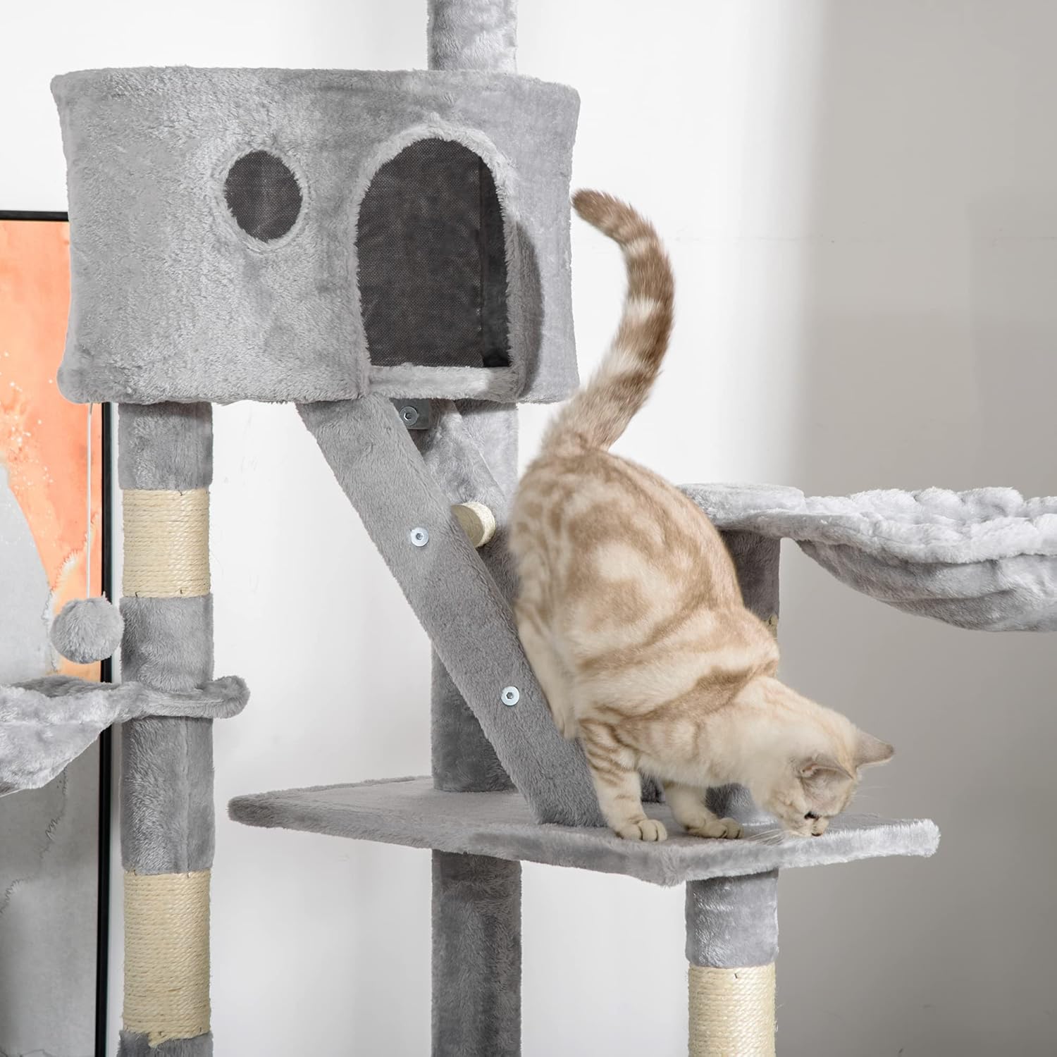 Chat tigré qui sort de la niche d'un arbre à chat fixation plafond coloris gris