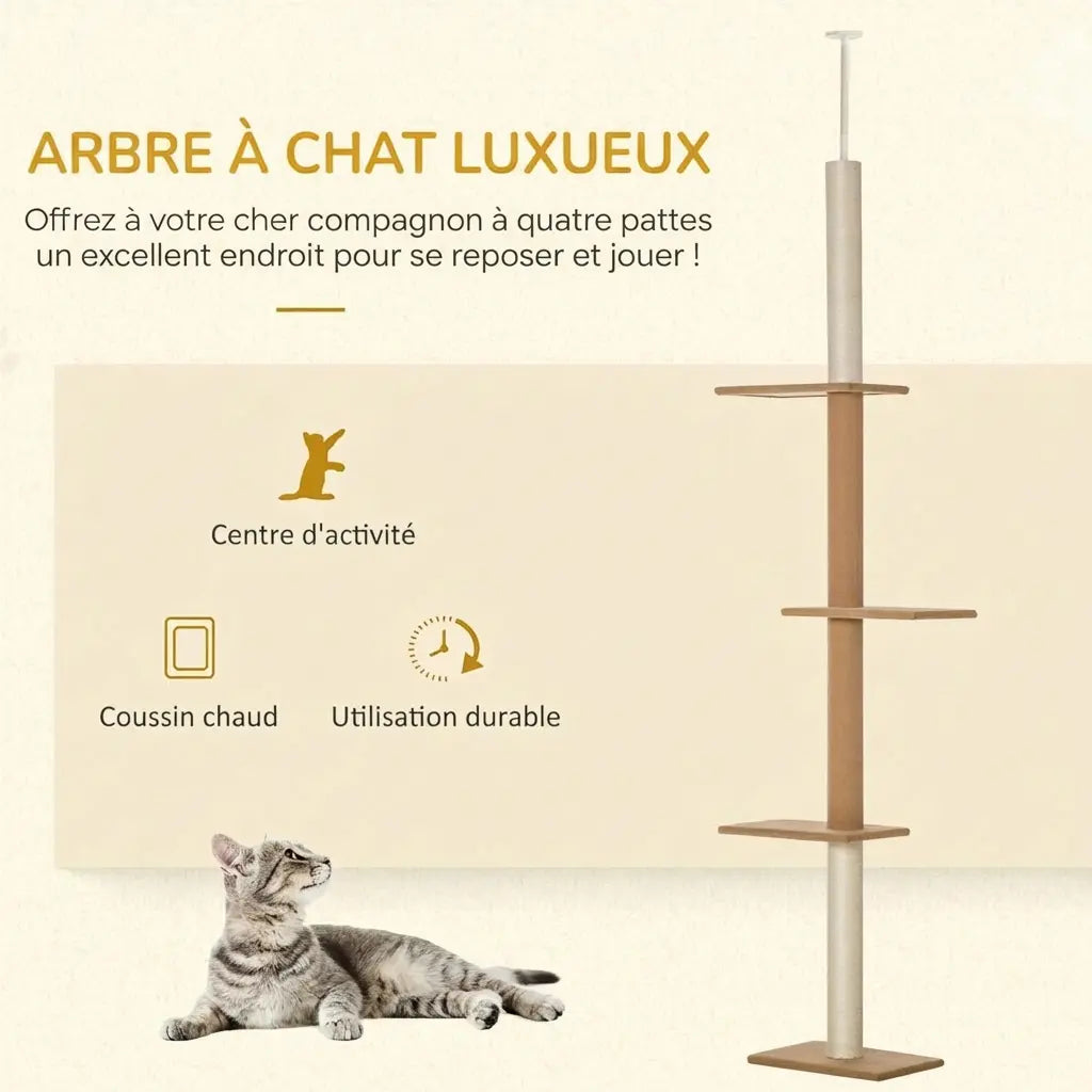 Arbre à chat plafond luxueux avec coussin chaud et zone d'activité, chat allongé au sol