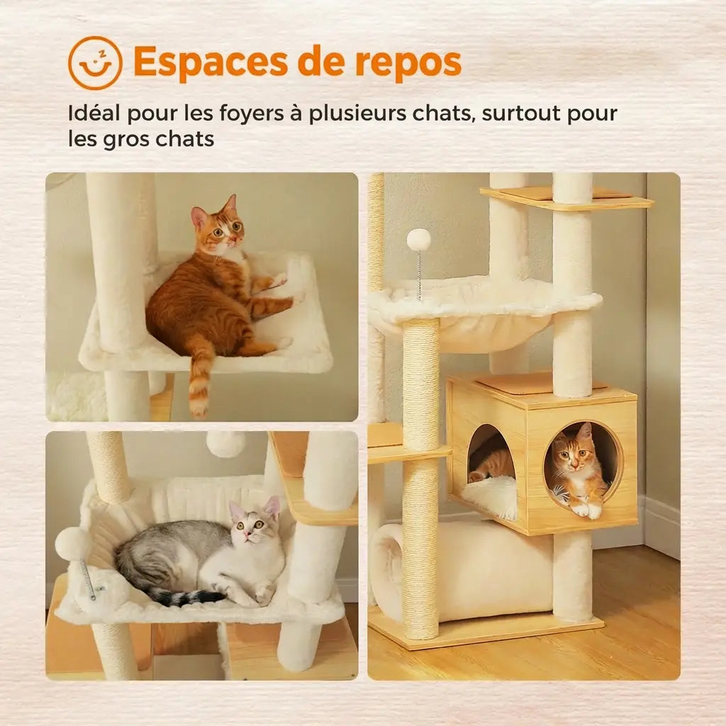 Arbre à chat plafond avec hamac et niches offrant des espaces de repos pour plusieurs chats
