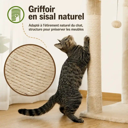 Chat tigré grattant un poteau enrobé de sisal naturel beige, avec gros plan sur la texture du griffoir.