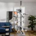 Arbre à chat du sol au plafond - 240 à 260 cm avec plateformes