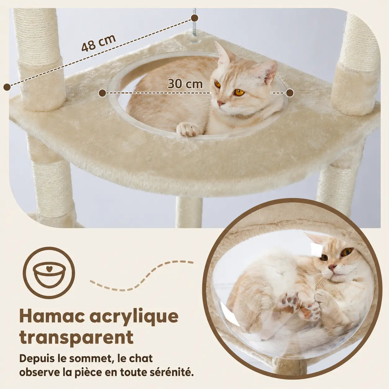 Hamac acrylique transparent suspendu entre deux poteaux sisal, avec chat allongé et dimensions indiquées (48 cm et 30 cm).