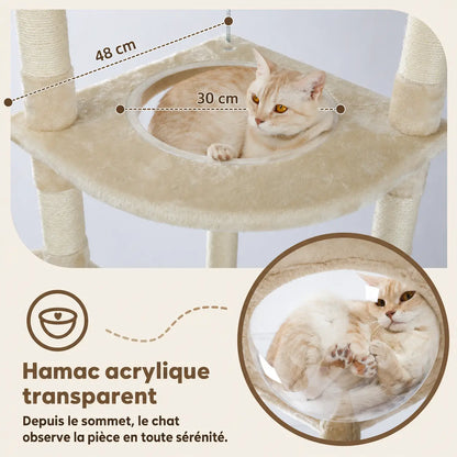 Hamac acrylique transparent suspendu entre deux poteaux sisal, avec chat allongé et dimensions indiquées (48 cm et 30 cm).