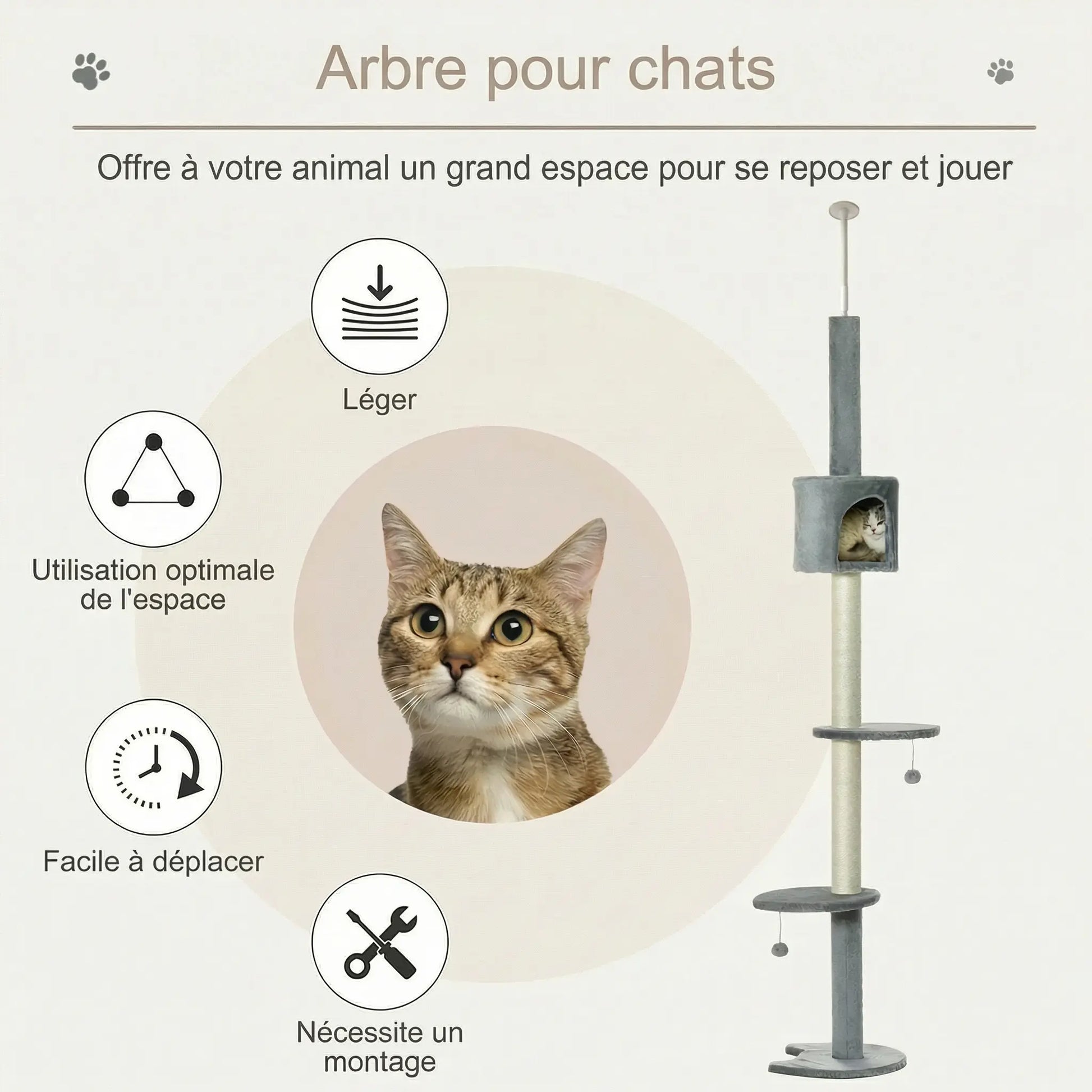 Infographie arbre à chat sol plafond léger facile à déplacer avec utilisation optimale de l'espace
