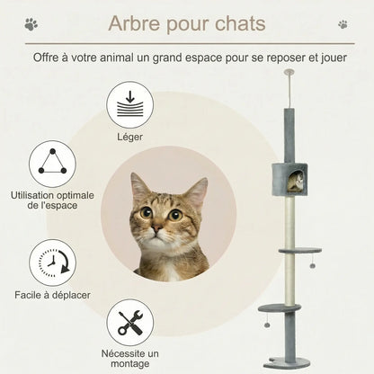 Infographie arbre à chat sol plafond léger facile à déplacer avec utilisation optimale de l'espace