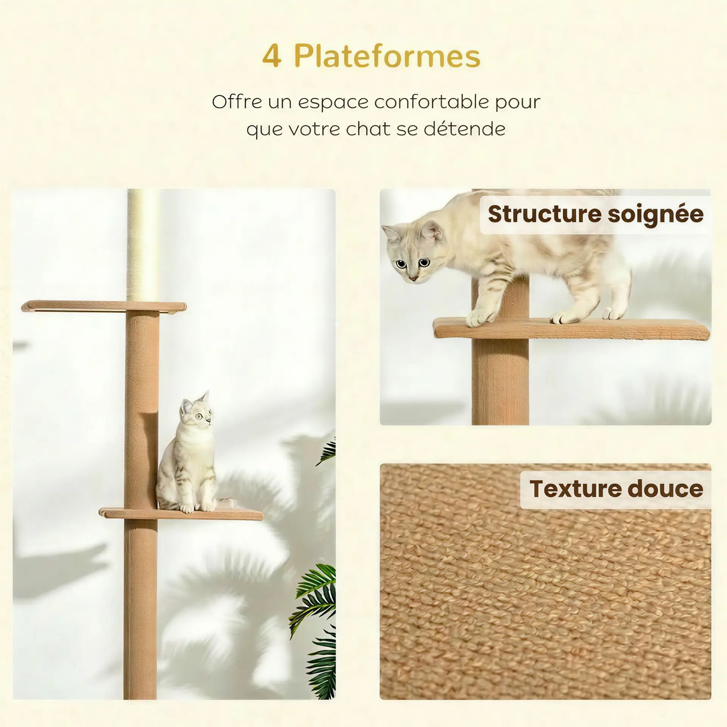 Collage présentant la structure soignée et la texture douce d'un arbre à chat sol plafond luxueux