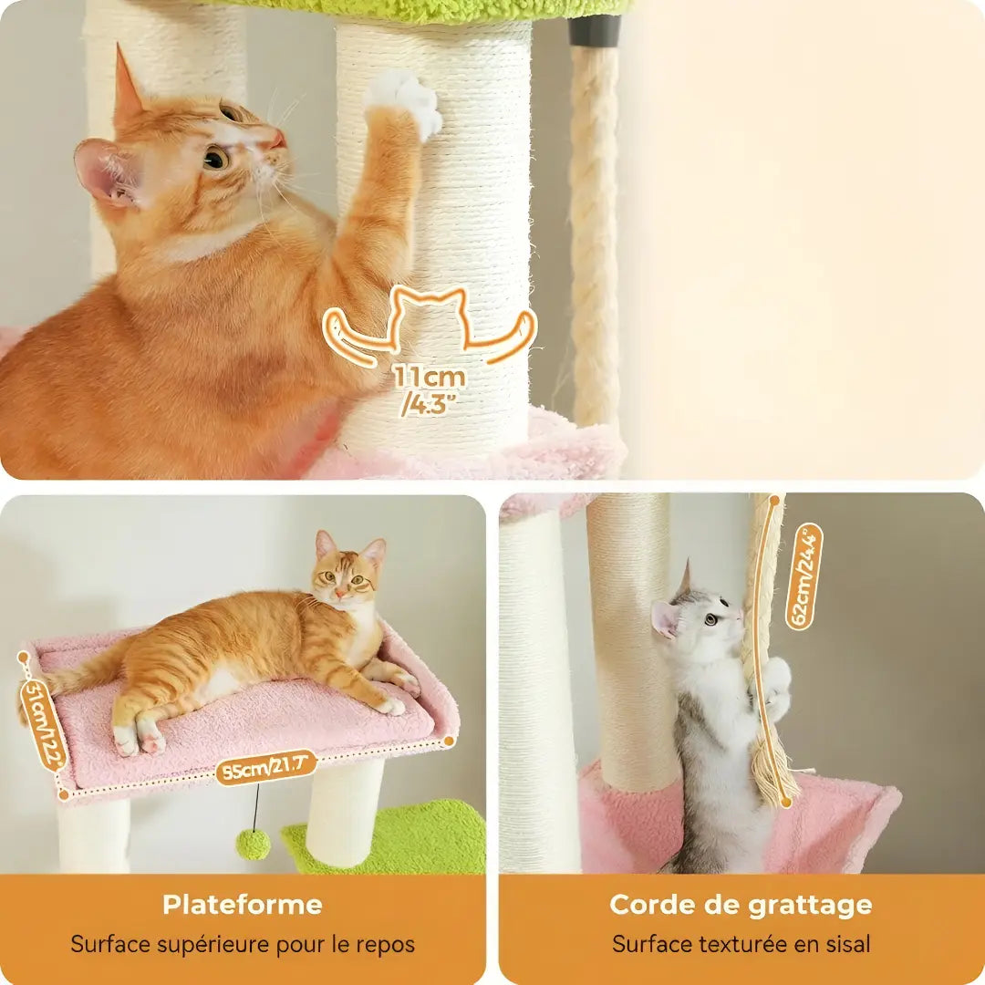 Gros plan des poteaux en sisal de 11 cm et de la corde de grattage de l'arbre à chat rose et vert avec chats roux