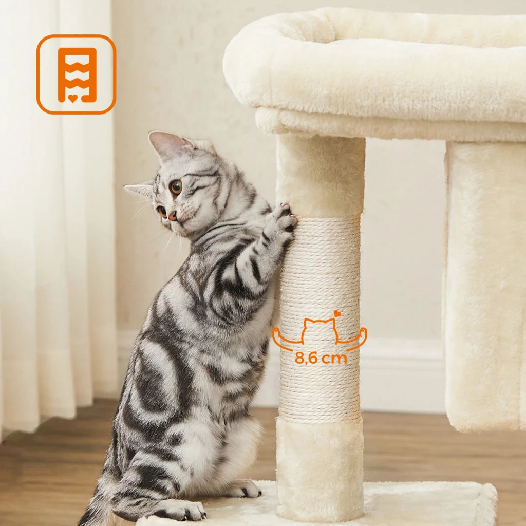 Chat argenté debout contre le poteau en sisal de 8,6 cm du petit arbre à chat beige