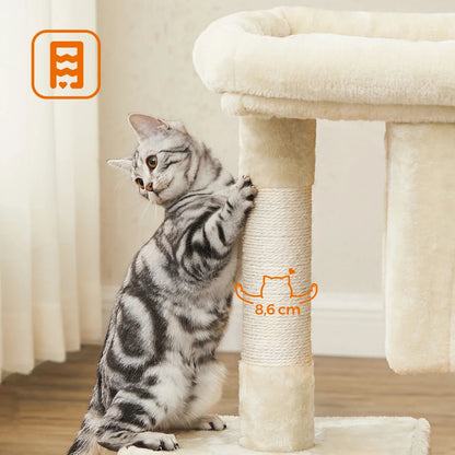 Chat argenté debout contre le poteau en sisal de 8,6 cm du petit arbre à chat beige
