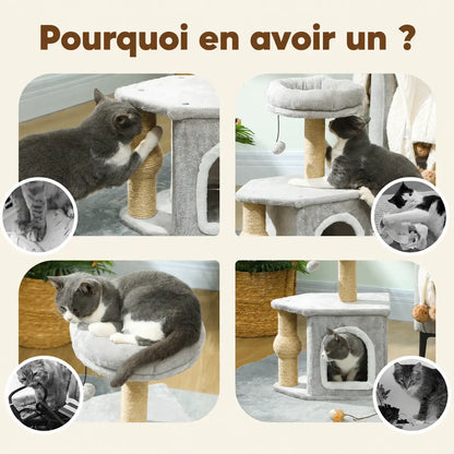 Montage de photos montrant des chats gris et blanc utilisant les différents éléments de l'arbre à chat : griffoir en sisal, plateformes, niche et jouets suspendus.