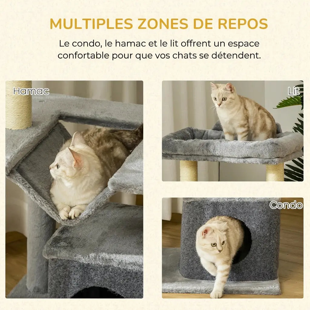Chat roux qui profite des multiples zones de repos du petit arbre à chat gris : hamac, condo et perchoir