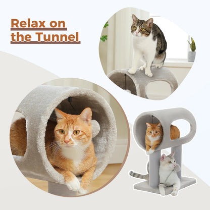 Chat roux à l'intérieur du tunnel et chat perché sur le dessus du petit arbre à chat gris tunnel double